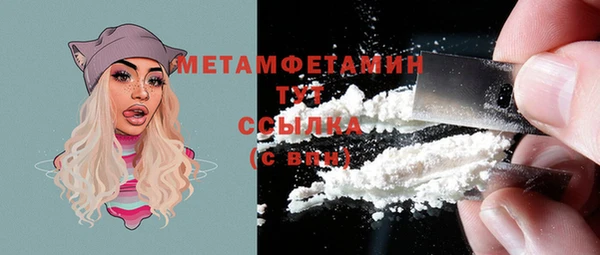 индика Ростов
