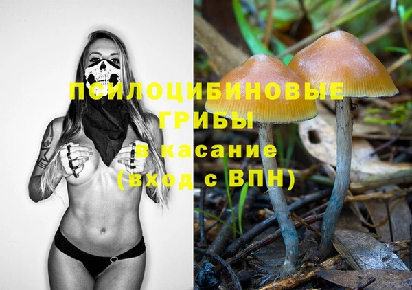 PSILOCYBIN Арсеньев